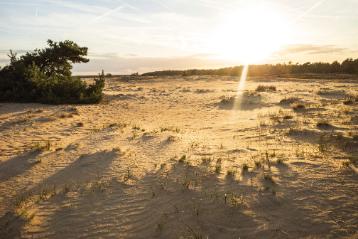 Camperplek Gelderland